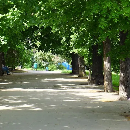 Vinohrady 公寓